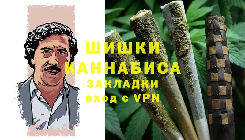 Бошки Шишки SATIVA & INDICA  где купить наркотик  Богородицк 